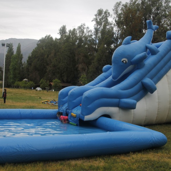 Tobogán Acuático Delfín Con Piscina