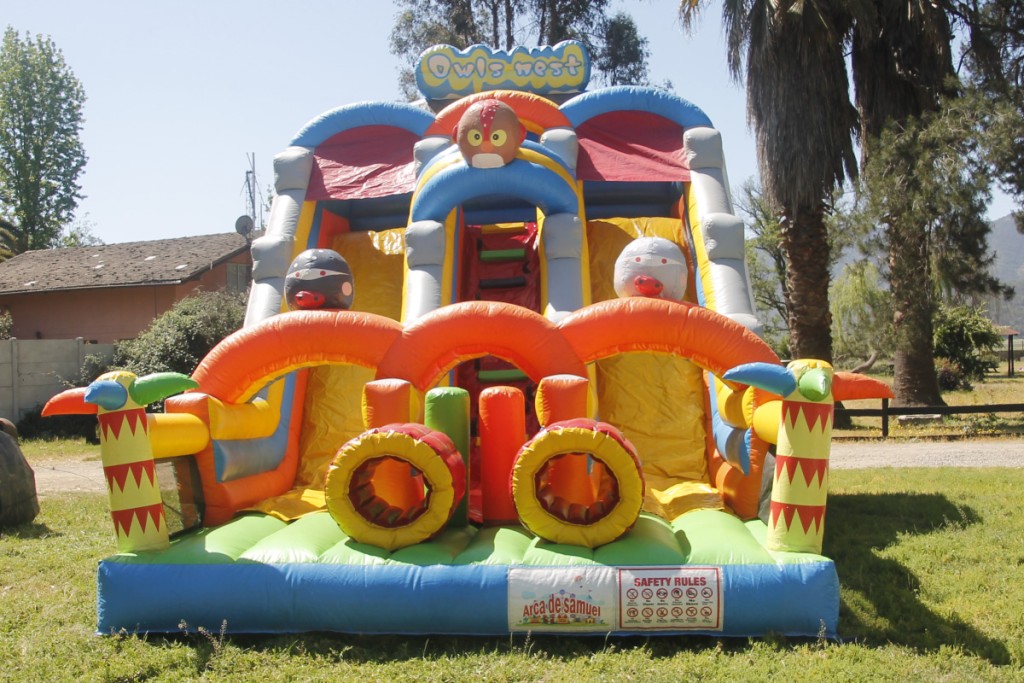 Arriendo de juegos inflable modelo Tobogán Multibuho 9X5 Arca de Samuel