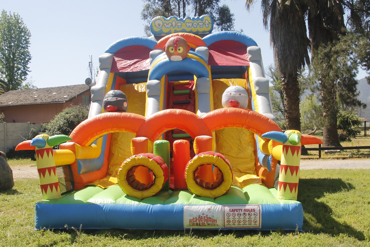 Arriendo de juegos inflable modelo Tobogán Multibuho 9X5 Arca de Samuel