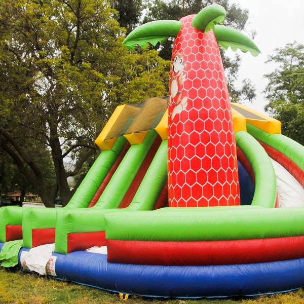 Arriendo de juegos inflable modelo Multi tobogán 6X6 Arca de Samuel
