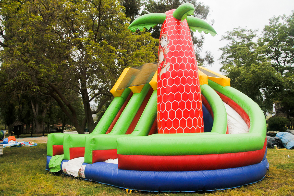 Arriendo de juegos inflable modelo Multi tobogán 6X6 Arca de Samuel