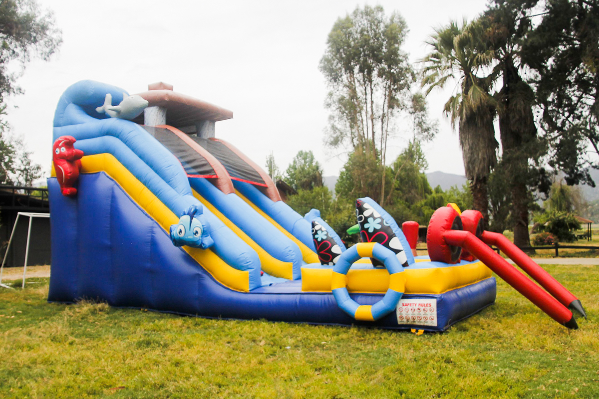 Arriendo de juegos inflable modelo Tobogán Museo 8X3,7 Arca de Samuel